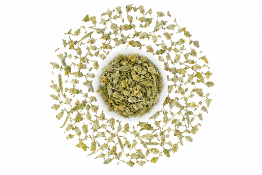 Greek Mountain Tea (Sideritis) Sachets by Maillard Coffee Roasters